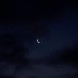 The moon is beautiful isnt it? (Blessed mane - Death is no more) Din1c