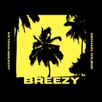 Breezy - Single - Michael Wilbur & Jackson Whalan