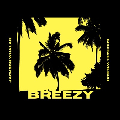 Breezy - Single