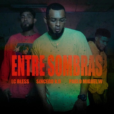 Entre sombras (feat. Sincero K.O & Pablo Miguel.W) - Single