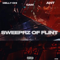 Sweeperz of Flint (feat. Otf Cam & Antwon) - Single - Melly Chi