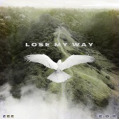 Lose My Way (feat. Egr) artwork