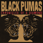 More Than a Love Song - Black Pumas