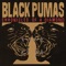 Black Pumas - More Than A Love Song