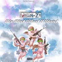 Dis Aint What You Want - Single - BoKrazy