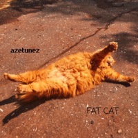 Fat Cat - AzeTunez