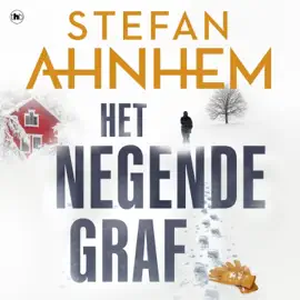 Het negende graf - Fabian Risk, Deel 2 (Onverkort)