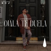 Ojalá te duela artwork