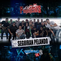 Me La Seguiran Pelando (Version Banda) [En Vivo] - Single - Los Pimenteles & la reno