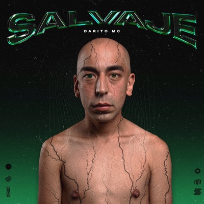 Salvaje - Single