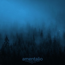 Amentalio plain. & Raynix