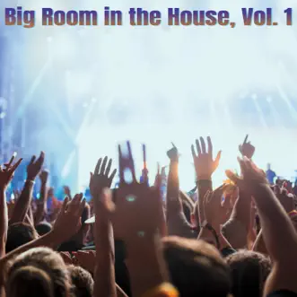 Big Room in the House, Vol. 1 by Various Artists album reviews, ratings, credits