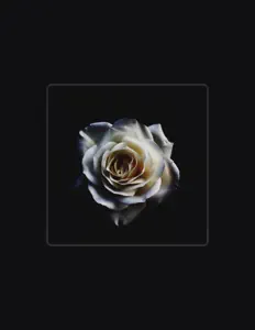 Listen to Netrah, watch music videos, read bio, see tour dates & more!