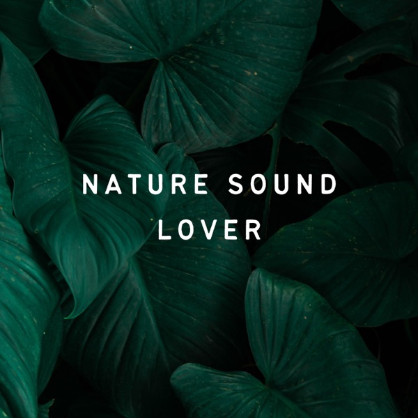 Nature Sound Lover
