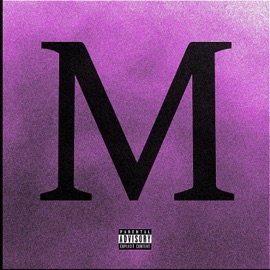 M FSISS & TRVGERMVTO