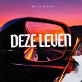 Deze Leven artwork