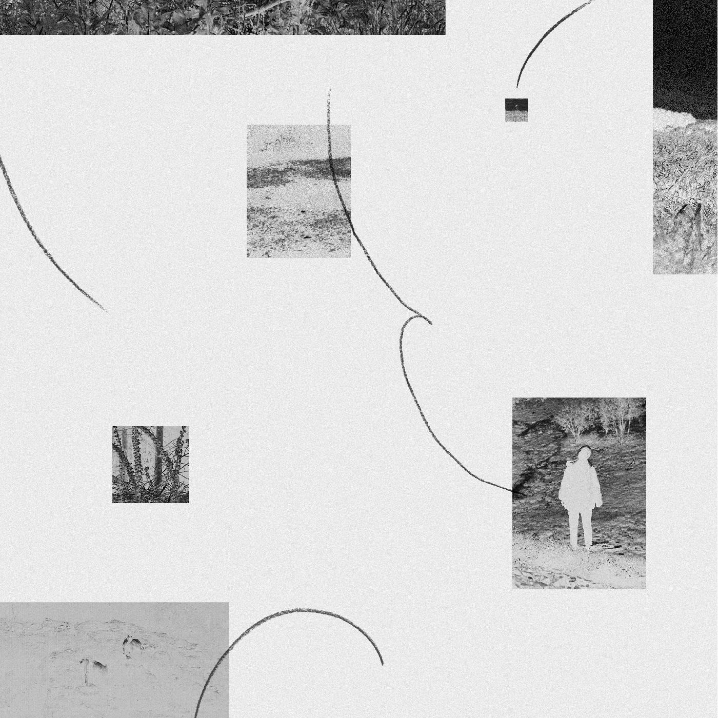 a journey by Hinako Omori