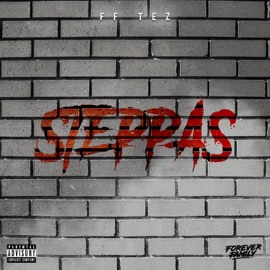Steppas FF Tez