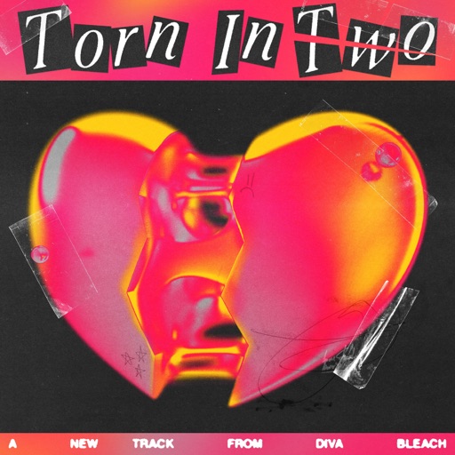 Art for Torn In Two by Diva Bleach