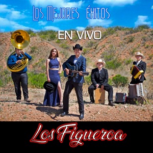 Los Mejores Éxitos (En Vivo)
