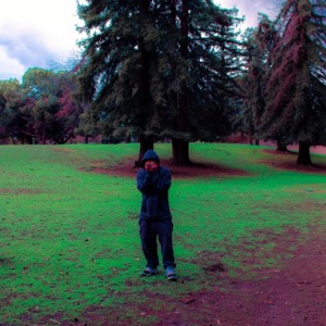 Warning Shots - Single