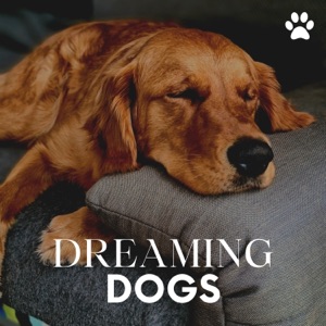 Dreaming Dogs