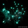 OdinMann - Sport Motivation artwork