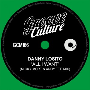 All I Want (Micky More & Andy Tee Mix) - Single