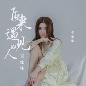 后来遇见的人很像你 - Single