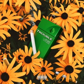 Trouble (feat. BillyMaree) KnowRayJones