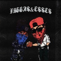 Welcome 2 N****s & Esses - Chris Coke