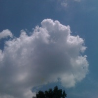 Don't Trust No1 - Single - ScientistBeats