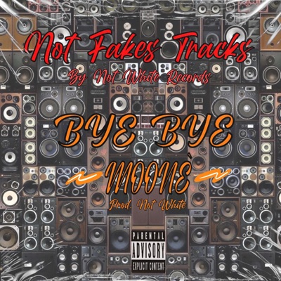 Not Fakes Tracks BYE BYE (feat. Moonè) - Single