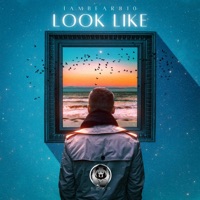 Look Like - Single - Iambear810