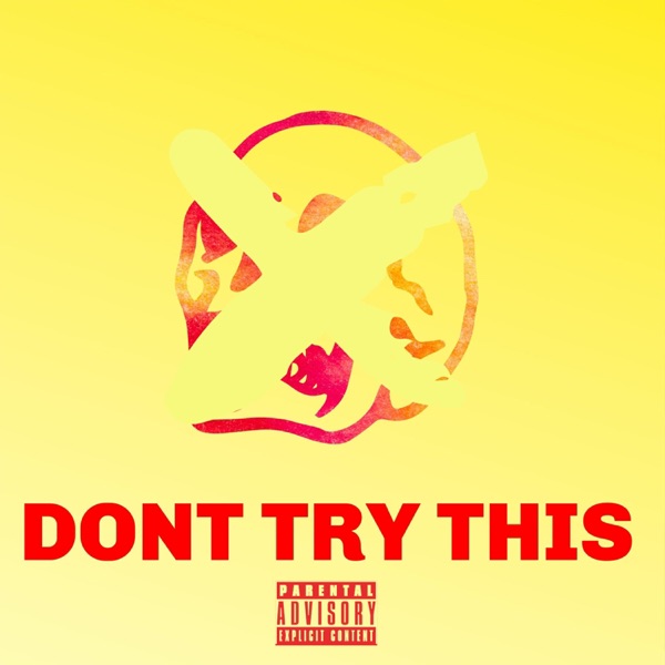 Dont Try This