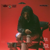 Demonstrations - Single - Savybalboa