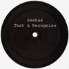 Test & Recognise (Flume Re-work) - Seekae