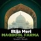 Iltija Meri Maqbool Farma Lofi - Junaid Ali lyrics
