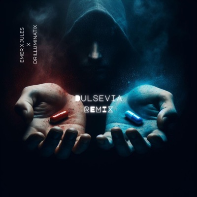 Dulsevia v2 (feat. EMER & Julisa) - Single
