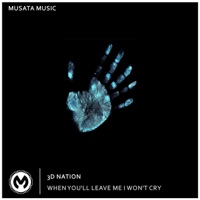 When you ll leave me I won t cry Radio Edit