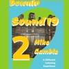 Sound 19
