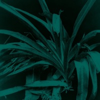 Crazy (Next Level) - Single - Hydro