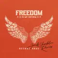 Freedom Is My Anthem (Jack Shocklee Remix)