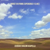 Christ in Hymns Experience V (Live) artwork