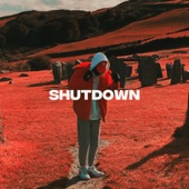 Shutdown artwork