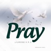 Pray (feat. P.j) - Single