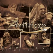 Artillery - By Inheritance - Live