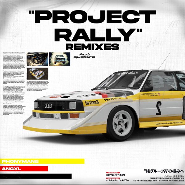 Project Rally