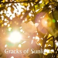 Cracks of Sunlight - Single - Soulgarden