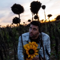 Euphoria - Single - Michael Wavves